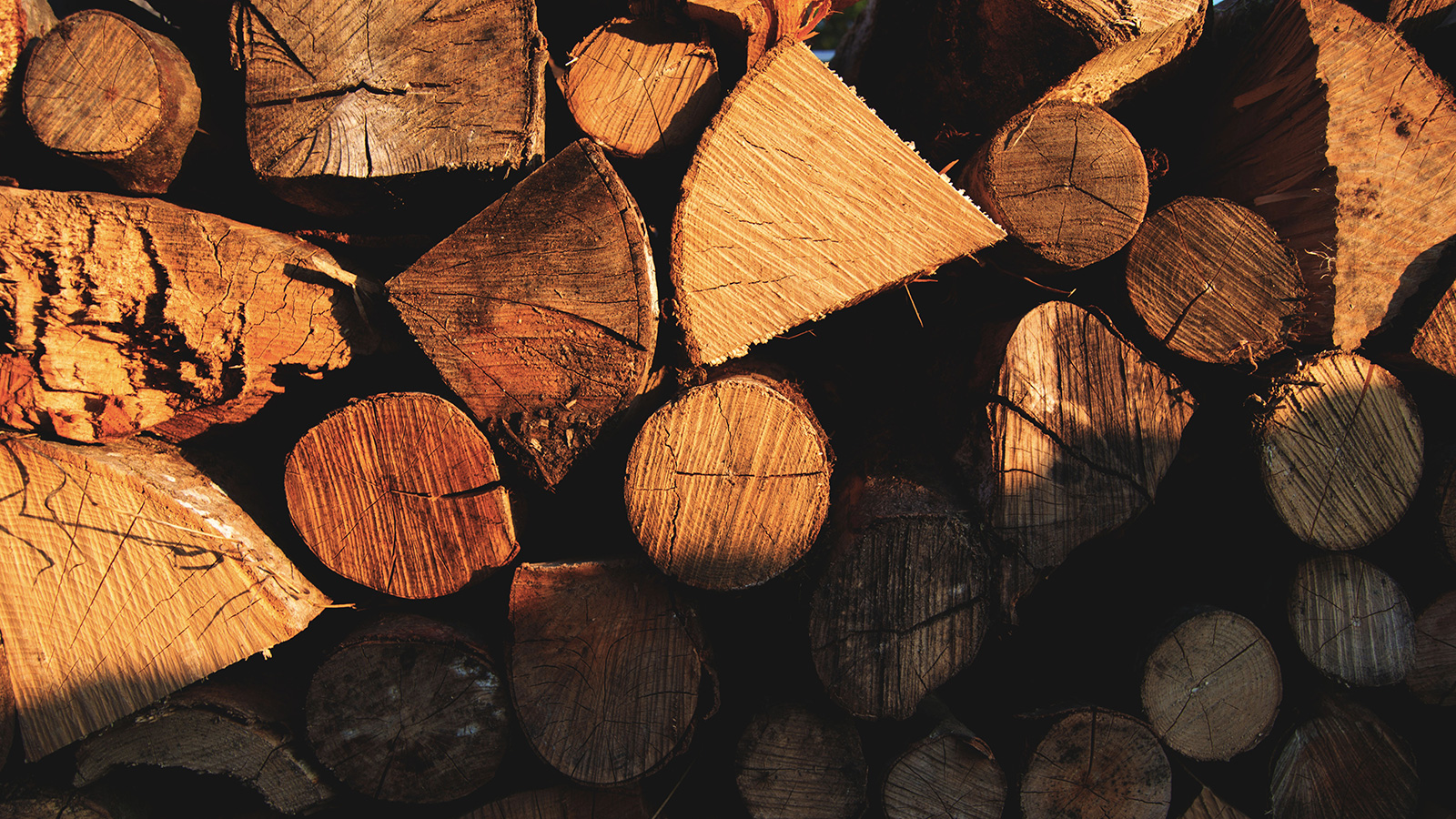 Everything You Should Know About Sustainable Wood